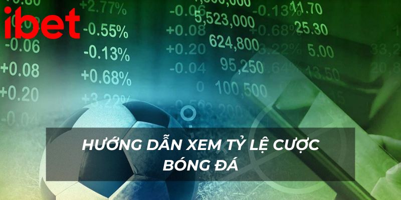 huong-dan-xem-ty-le-cuoc-bong-da-ibet