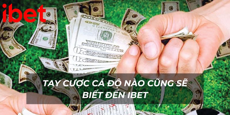 Tay cược cá độ nào cũng sẽ biết đến Ibet